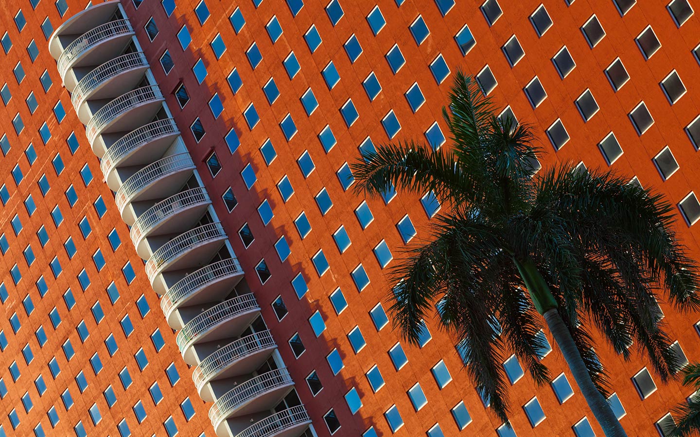 Windows of brick red Downtown building