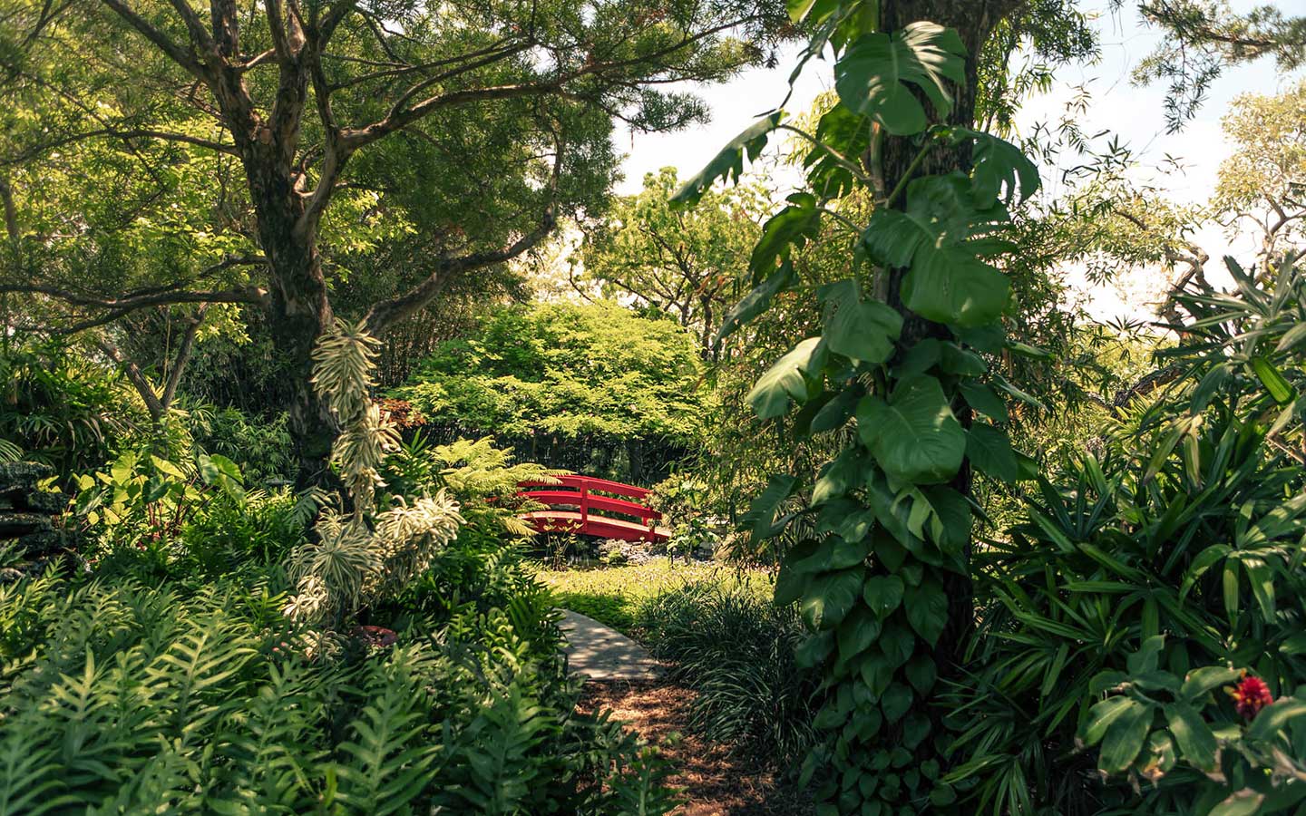 Red bridge in the Miami Beach Botanical Gardens