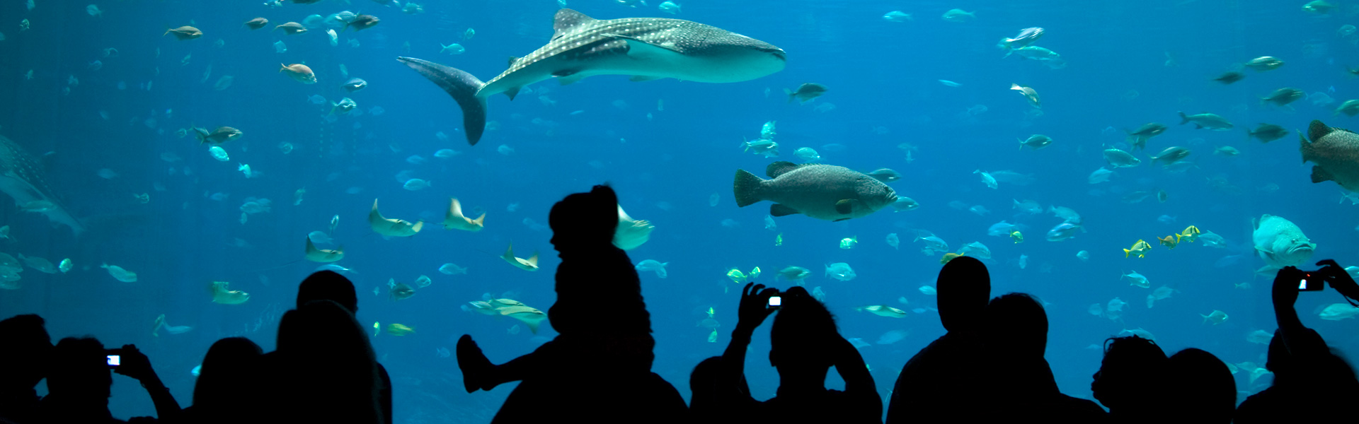 family in aquarium