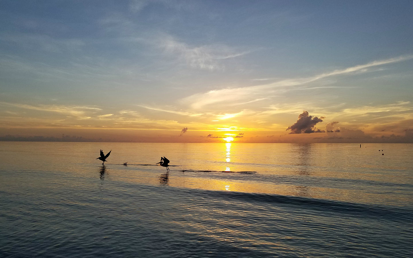 Beautiful Sunset